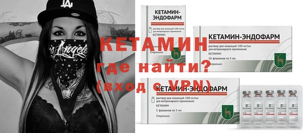 шишки Абаза