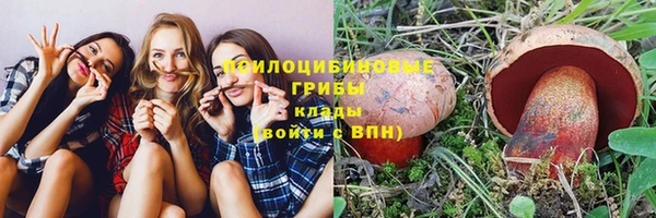 дживик Алексеевка