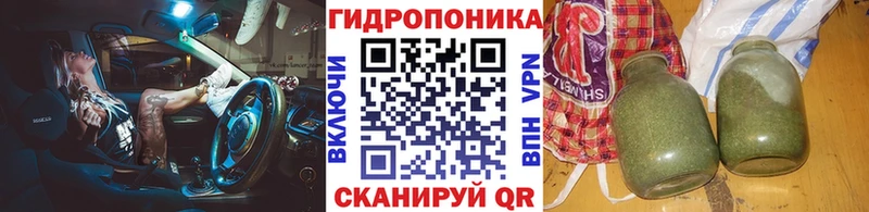 Конопля Amnesia  Цимлянск 